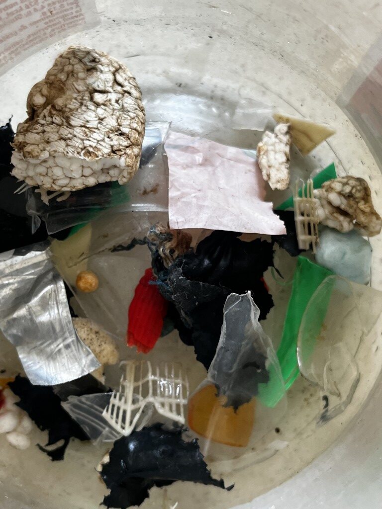 Les ECO-DELEGUES du lycée Gustave Eiffel en formation!